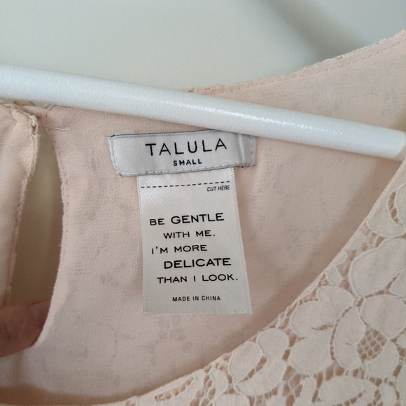 Blush Aritzia/ Talula Floral Lace Blouse - Picture 4 of 4